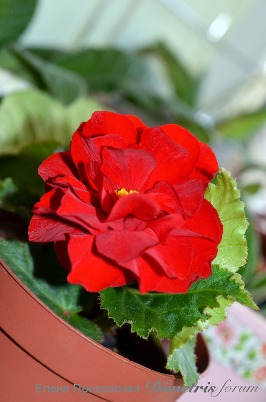 DSC_0221!.jpg