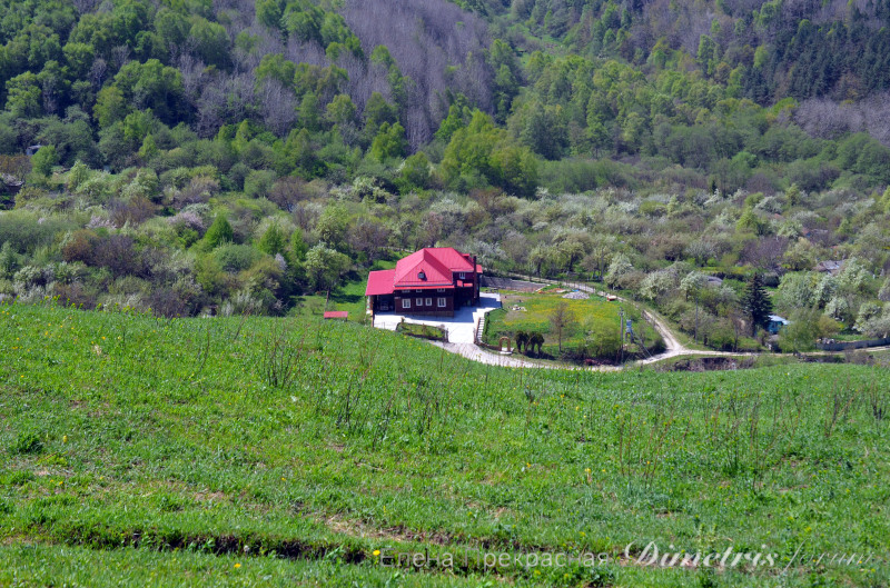 DSC_0948а.jpg