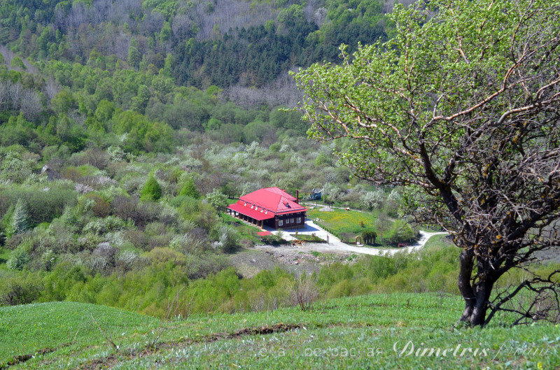 DSC_0953а.jpg
