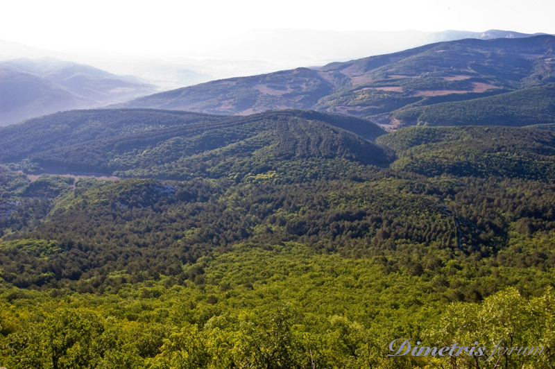 DSC_3181.jpg