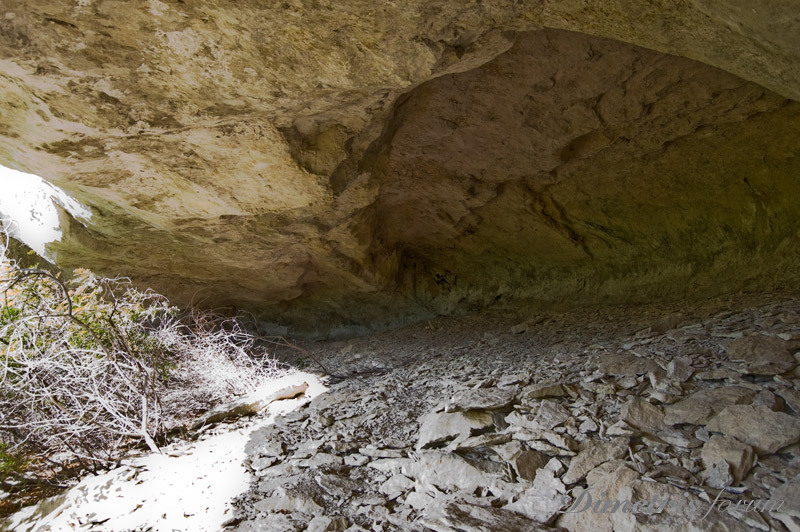 DSC_3189.jpg