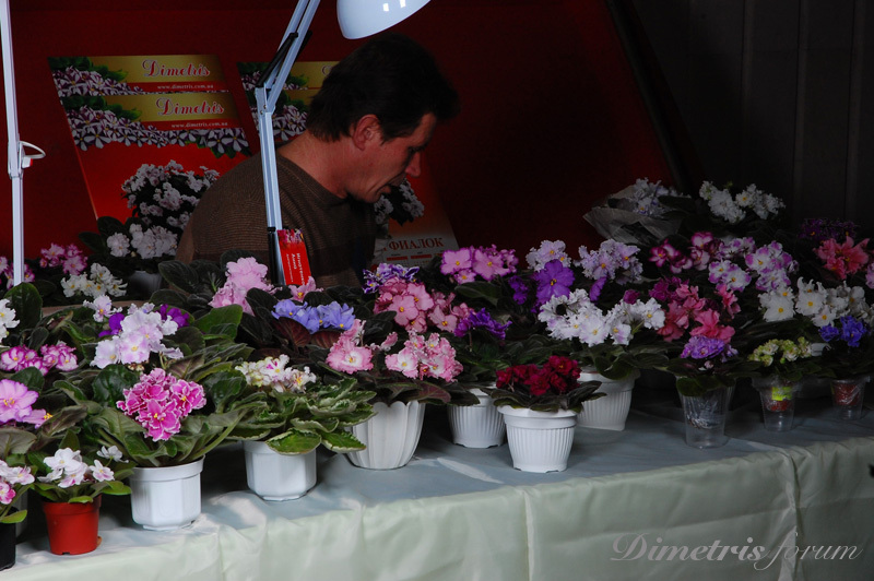 DSC_7530.jpg