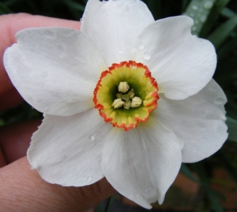 DSCF1005.jpg