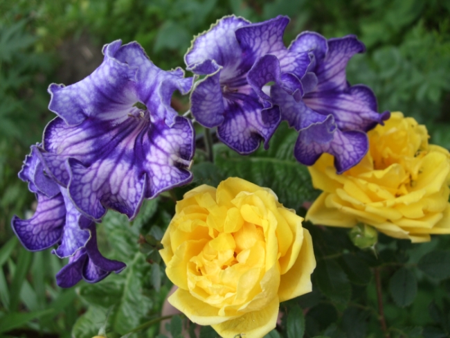 DSCF2663.JPG