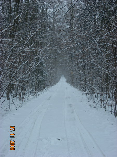 DSCN2867.jpg
