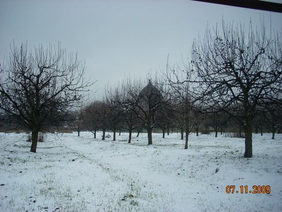 DSCN2871.jpg
