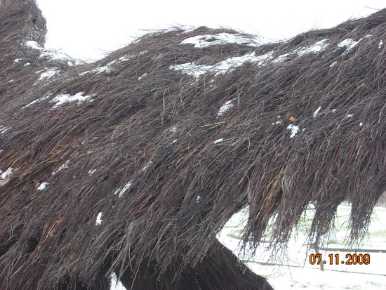 DSCN2877.jpg