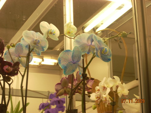 DSCN2882.jpg
