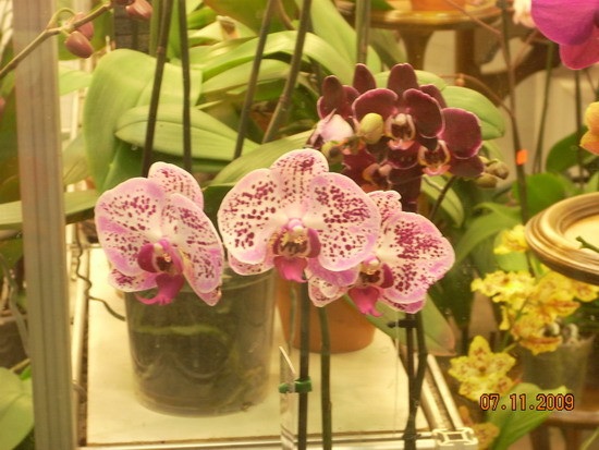 DSCN2883.jpg