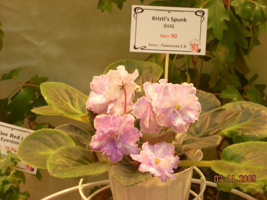 DSCN2890.jpg