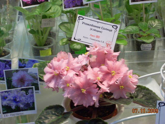 DSCN2891.jpg