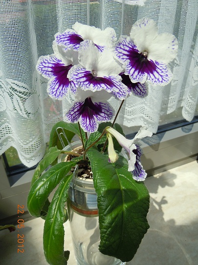 DSCN3291.JPG