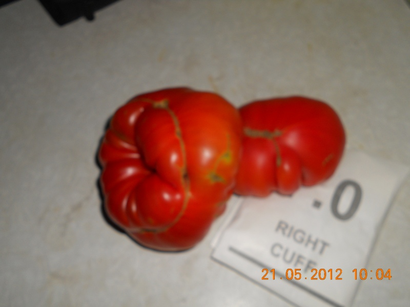 DSCN3706 Помидоры.jpg