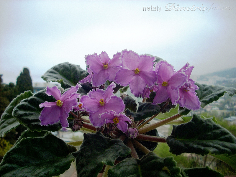 DSCN5930.JPG