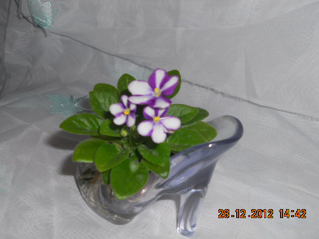 DSCN6085 Балчуг Полёт в туфельке.jpg