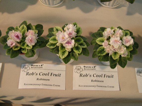 DSCN6291 - Rob's Cool Fruit (Robinson) - Елена Еникеева_sm.jpg