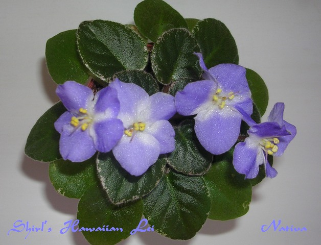 DSCN6543.JPG