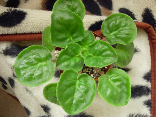 DSCN9634.jpg