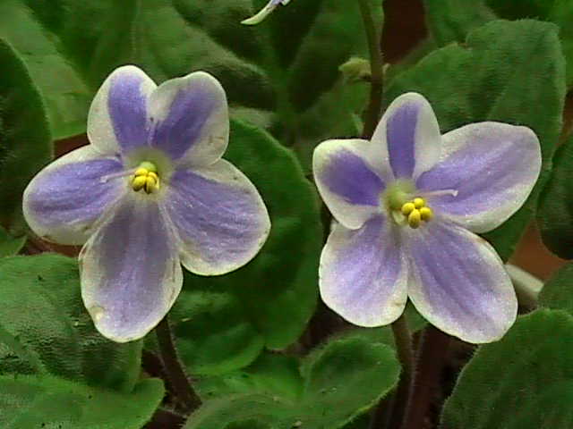 DVC01058.JPG