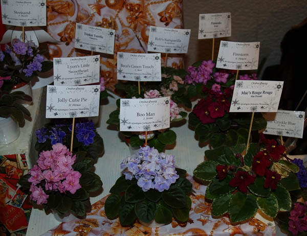flower09.jpg