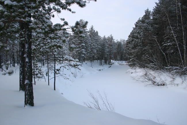 foto 1056_новый размер.jpg