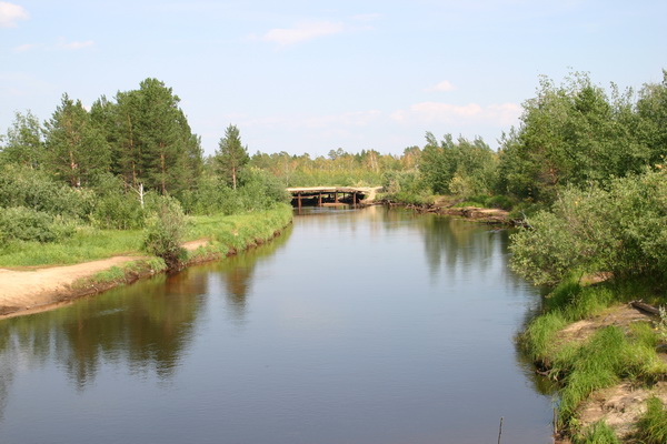 foto 113_..jpg