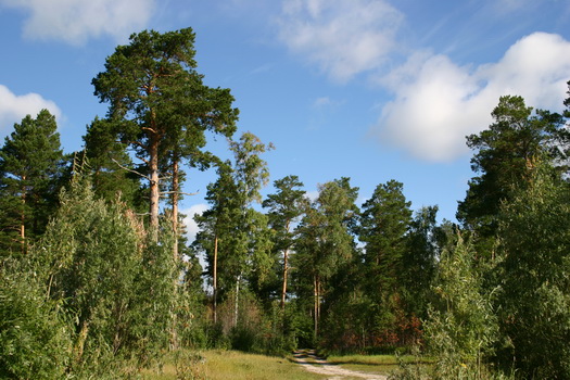 foto 238_..jpg