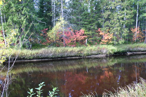 foto 525_..jpg
