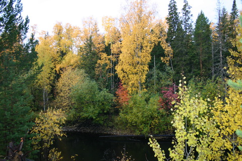 foto 617_..jpg