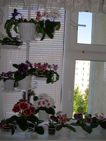 getImage (1).jpg