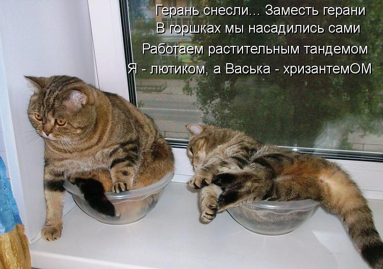 image (4).jpg