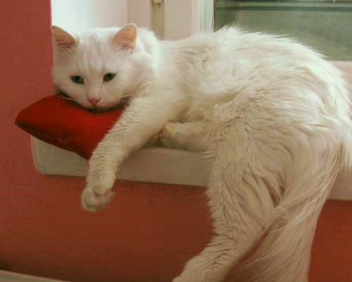 img002.jpg
