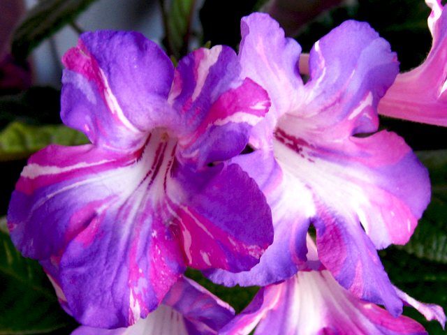 img0695.jpg