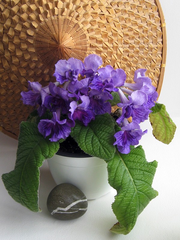 img1438.jpg