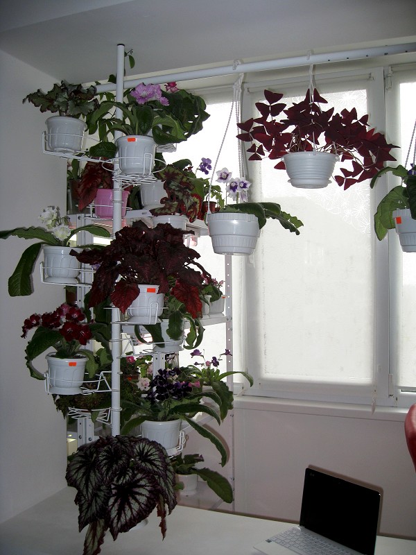 img1706.jpg