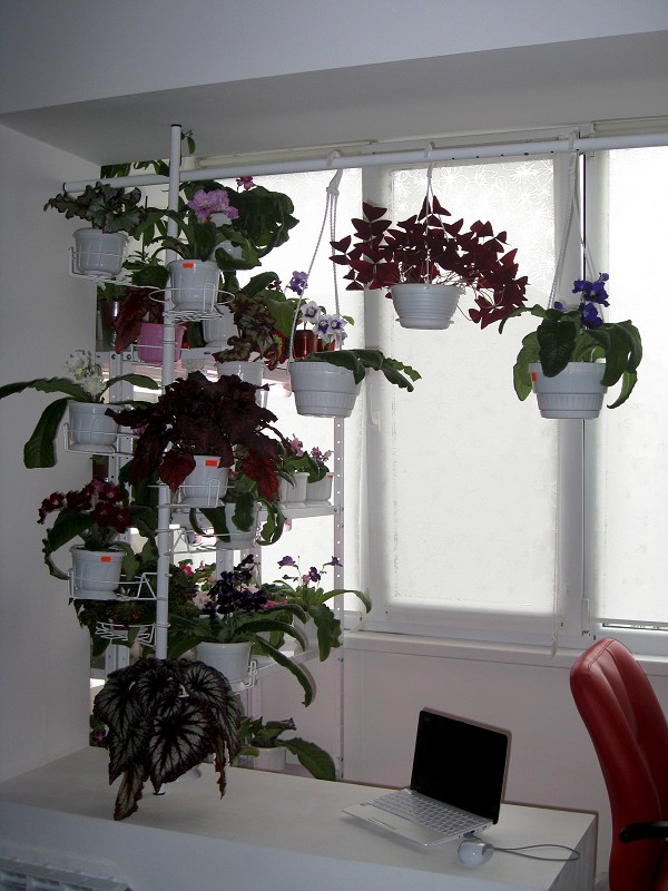 img1707.jpg
