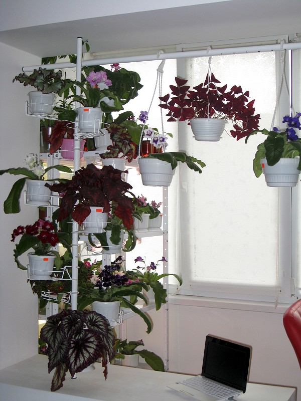 img1708.jpg