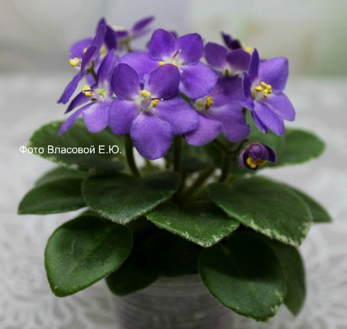 IMG_0047.jpg