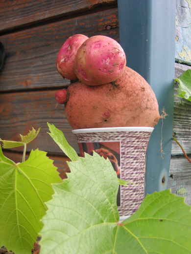 IMG_0293 копия.jpg