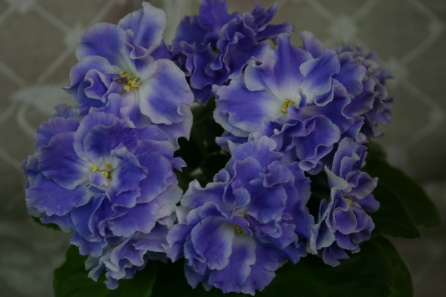 IMG_1272_новый размер.JPG