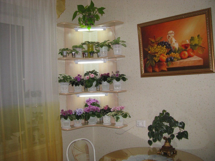 IMG_1646.JPG
