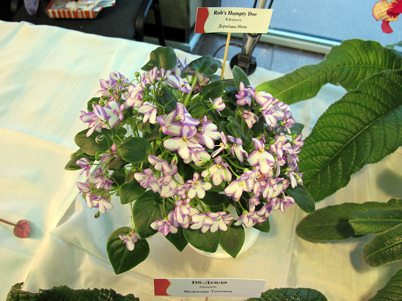 IMG_2063.JPG