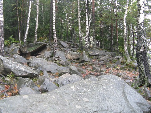 IMG_2648.JPG