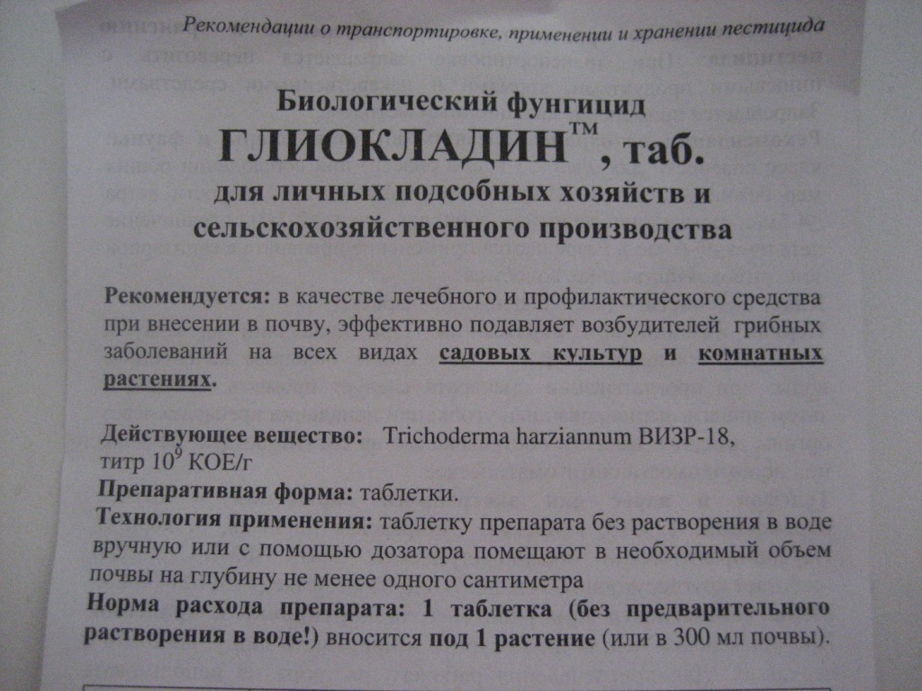 IMG_4351.JPG