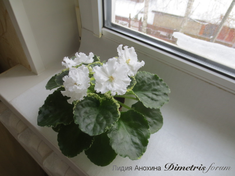 IMG_8175.JPG