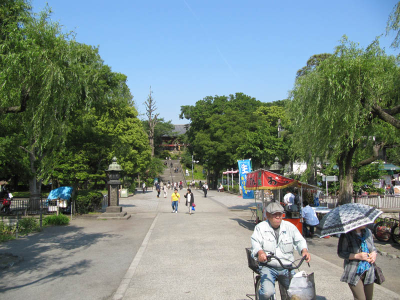 IMG_8599.jpg