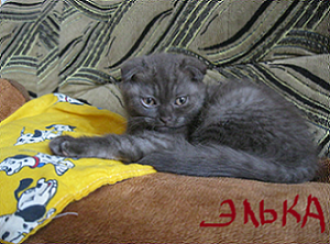IMG_9.png