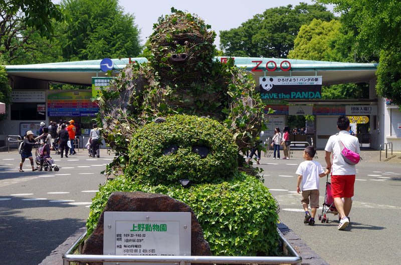IMGP0960.jpg