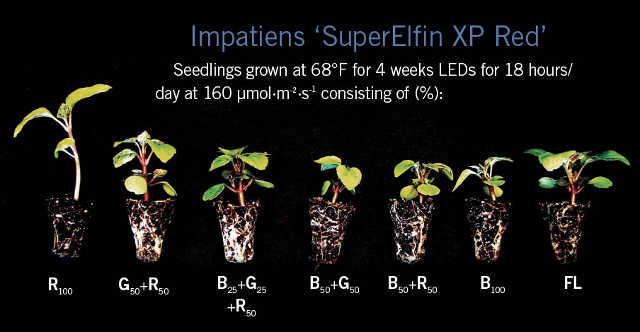 LED-Figure1.jpg