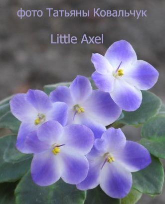 Little Axel.jpg